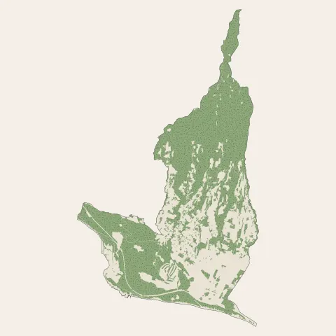 L'Étang-Salé : bois, forêts et landes