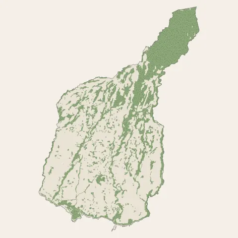 Petite-Île : bois, forêts et landes