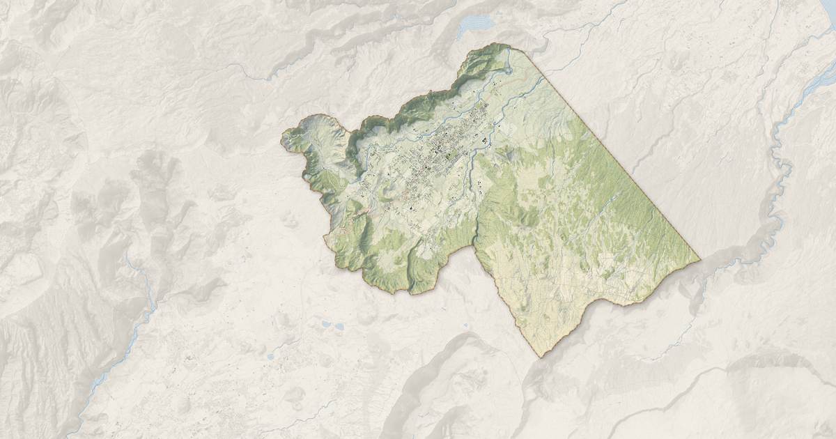 Portrait cartographique de La Plaine-des-Palmistes : relief, eau, forêts, bâti et voies, calculés à partir des données de l'IGN