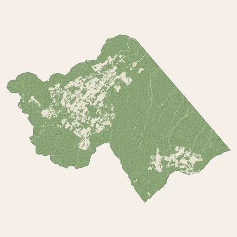 La Plaine-des-Palmistes : bois, forêts et landes