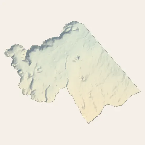 La Plaine-des-Palmistes : relief
