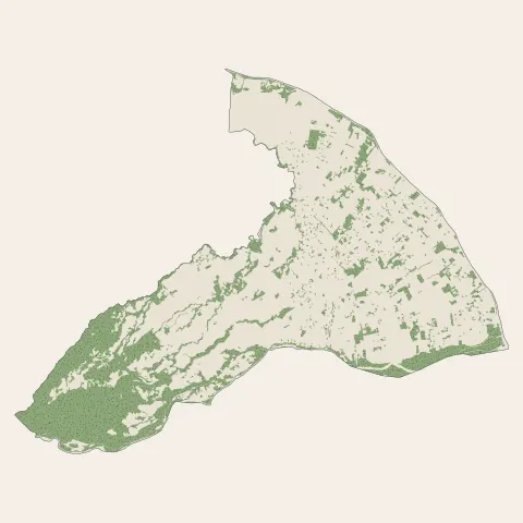 Saint-André : bois, forêts et landes