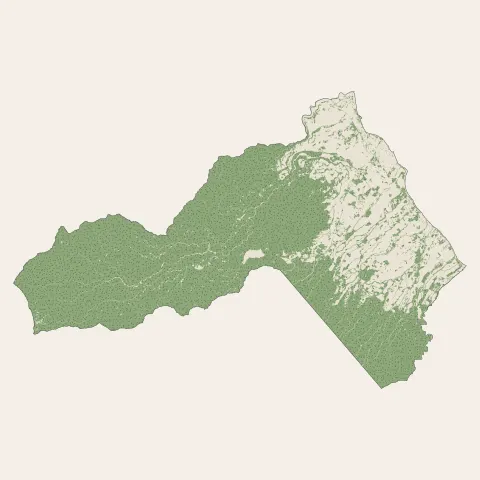 Saint-Benoît : bois, forêts et landes
