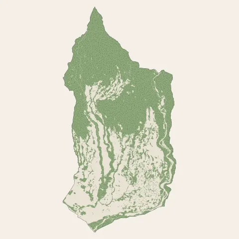 Saint-Louis : bois, forêts et landes