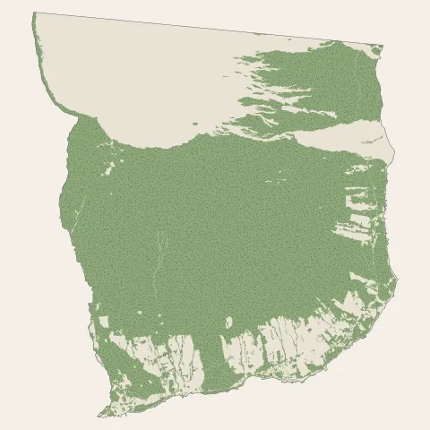 Saint-Philippe : bois, forêts et landes