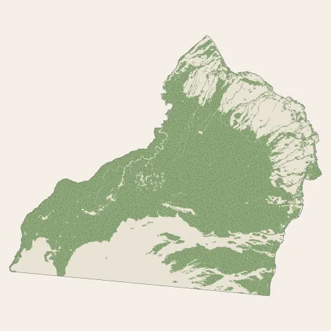 Sainte-Rose : bois, forêts et landes