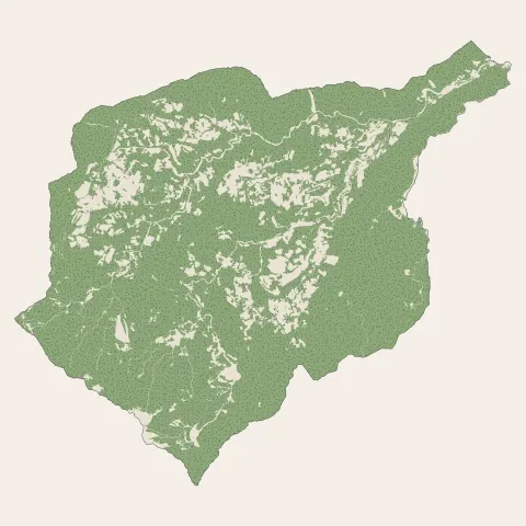 Salazie : bois, forêts et landes