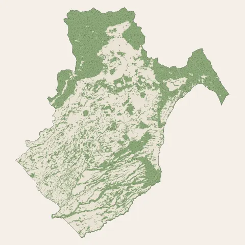 Le Tampon : bois, forêts et landes