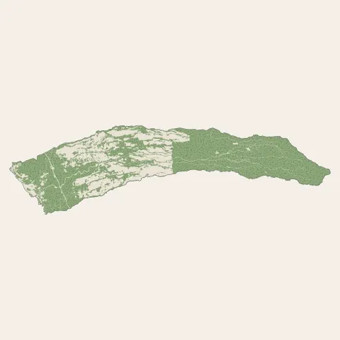 Les Trois-Bassins : bois, forêts et landes