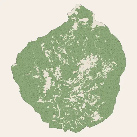 Cilaos : bois, forêts et landes