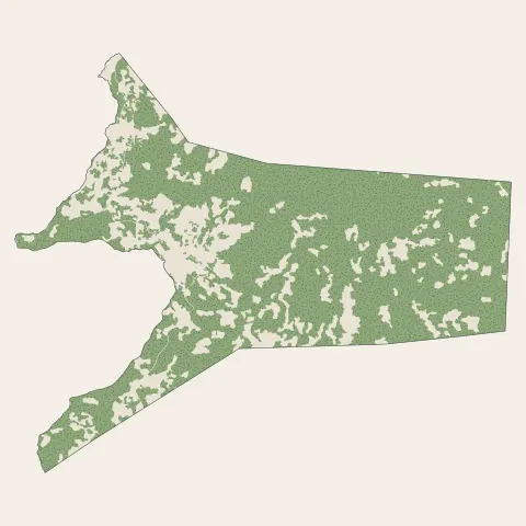 Acoua : bois, forêts et landes