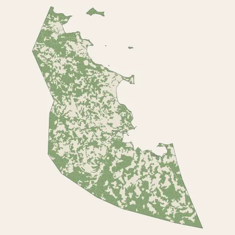 Bandraboua : bois, forêts et landes