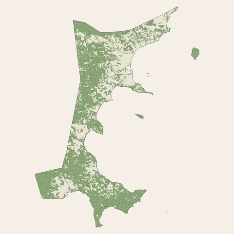 Bandrele : bois, forêts et landes