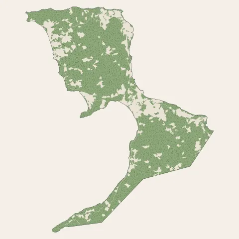Bouéni : bois, forêts et landes