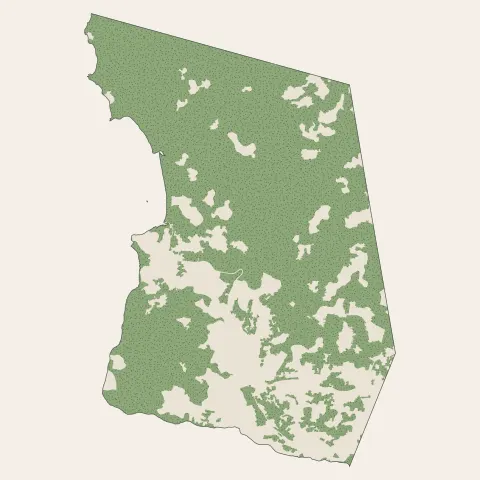 Chiconi : bois, forêts et landes