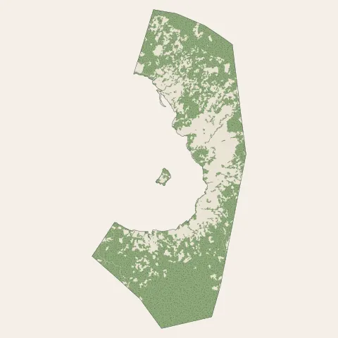Chirongui : bois, forêts et landes
