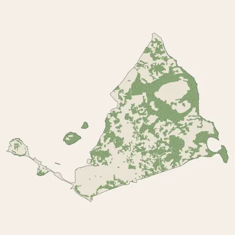 Dzaoudzi : bois, forêts et landes