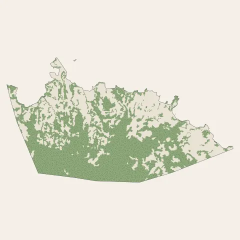 Koungou : bois, forêts et landes