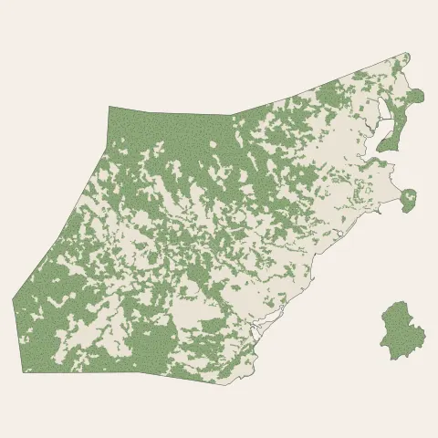 Mamoudzou : bois, forêts et landes