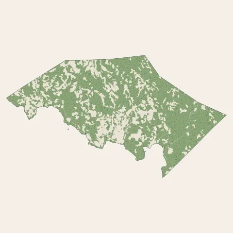 M'Tsangamouji : bois, forêts et landes