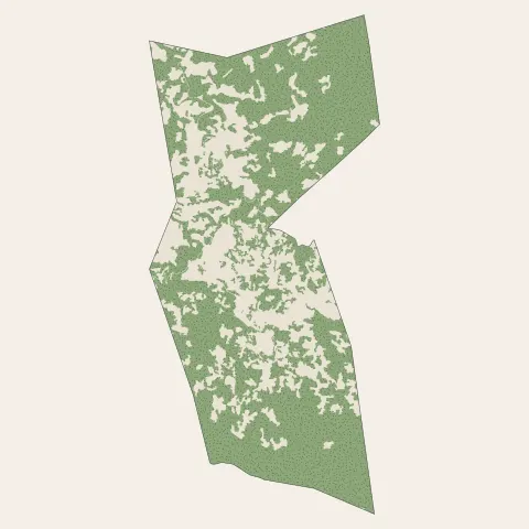 Ouangani : bois, forêts et landes