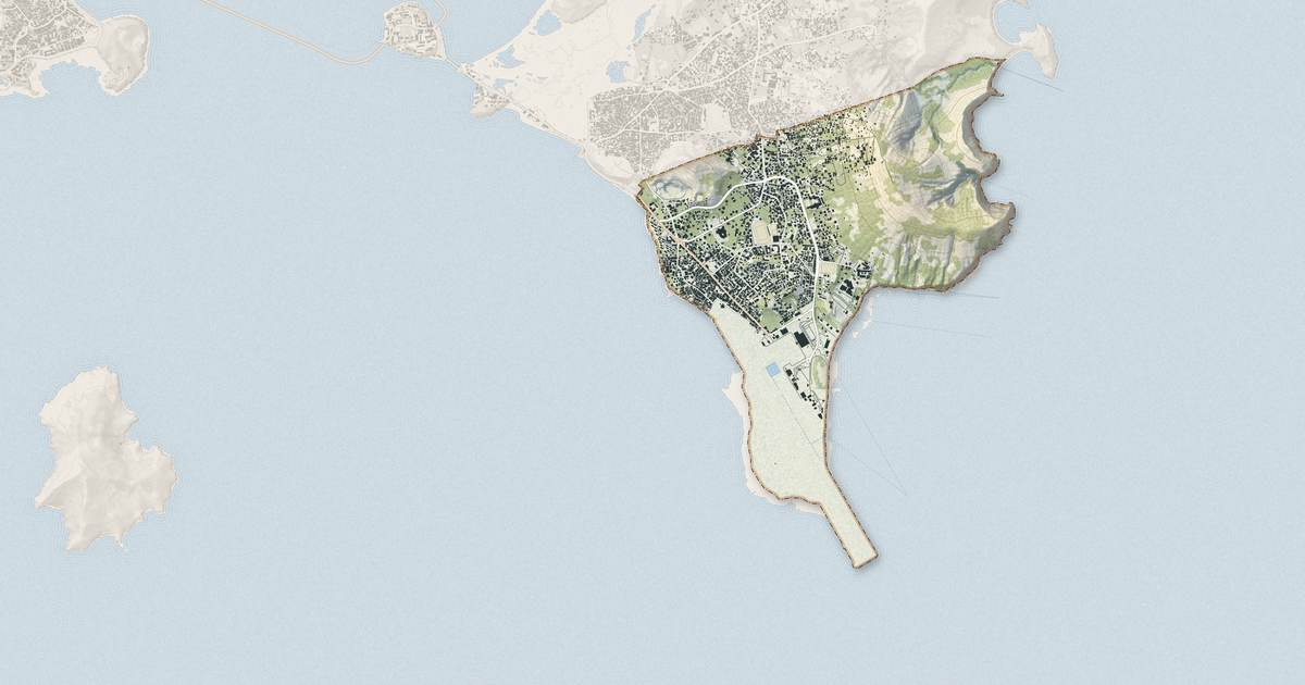 Portrait cartographique de Pamandzi : relief, eau, forêts, bâti et voies, calculés à partir des données de l'IGN