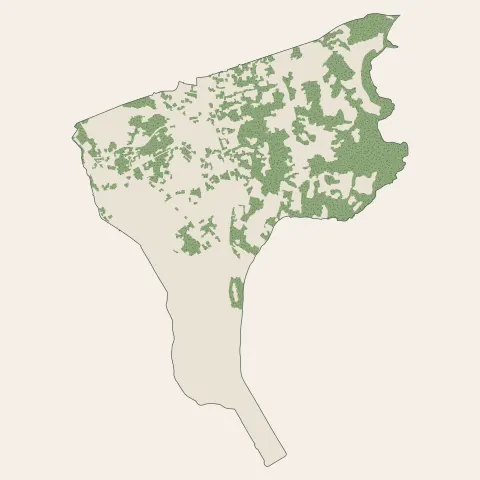 Pamandzi : bois, forêts et landes