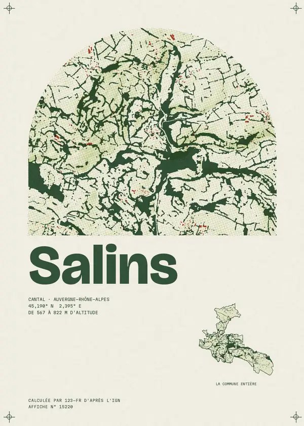 Affiche de Salins, calculée par 123-fr d'après l'IGN