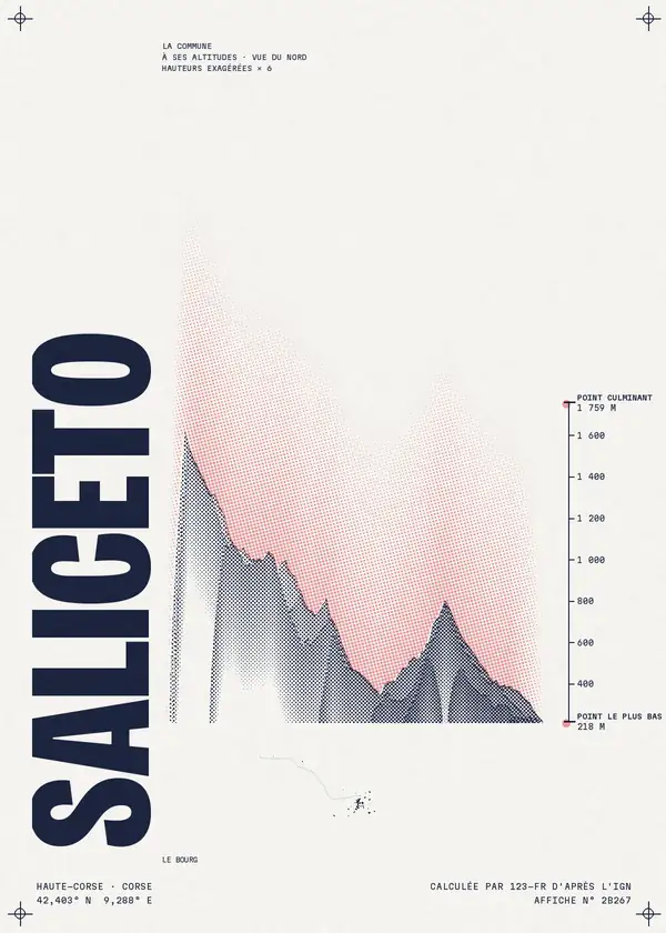 Affiche de Saliceto, calculée par 123-fr d'après l'IGN