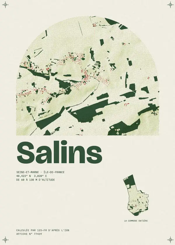 Affiche de Salins, calculée par 123-fr d'après l'IGN