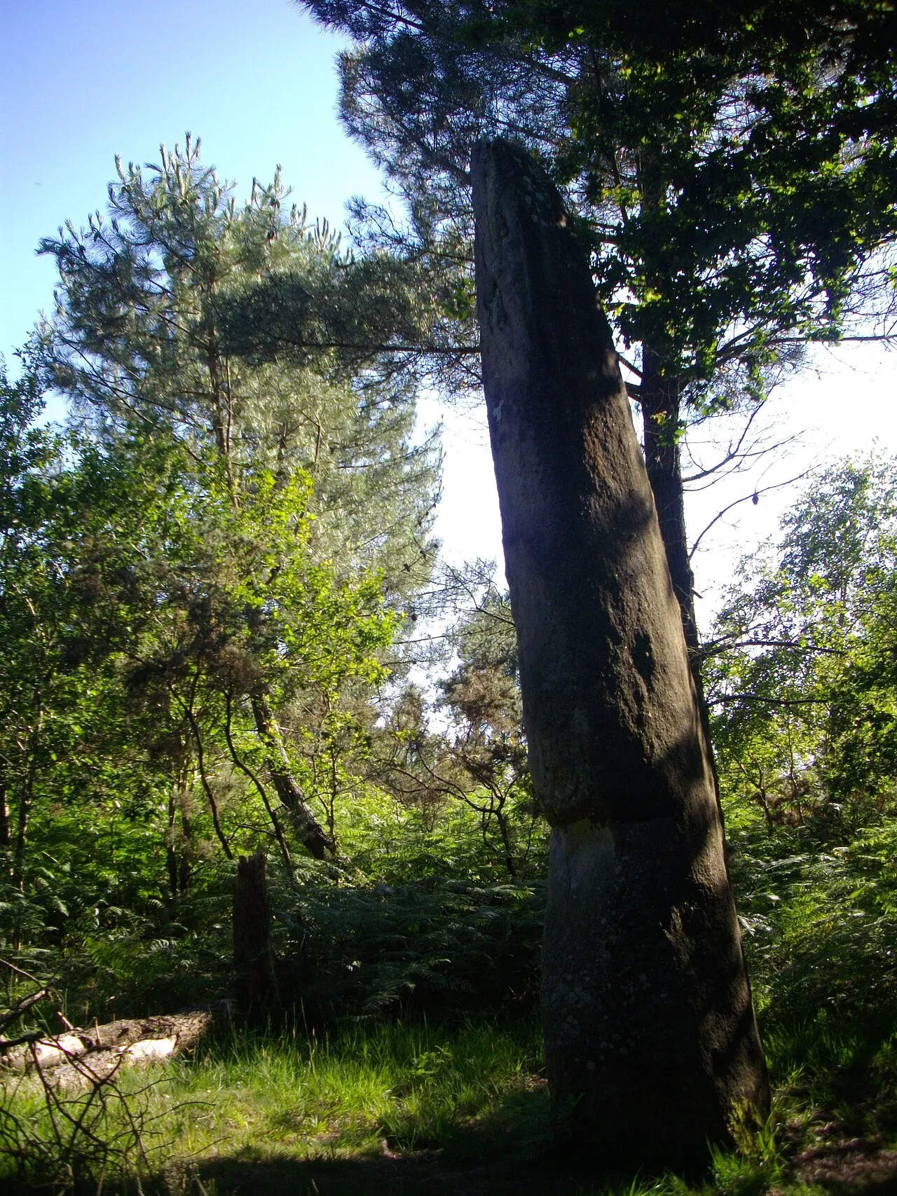 Menhir dit la Quenouille de Gargantua