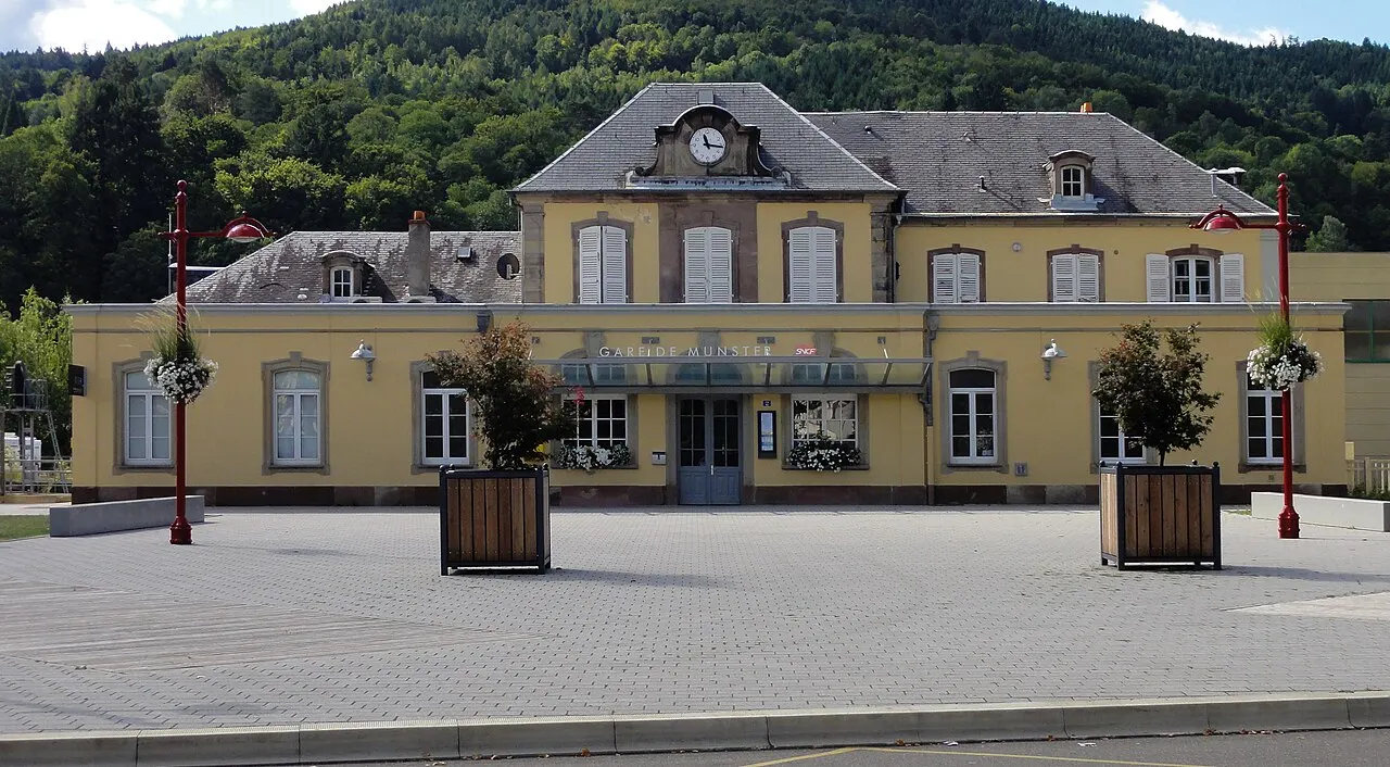 Munster