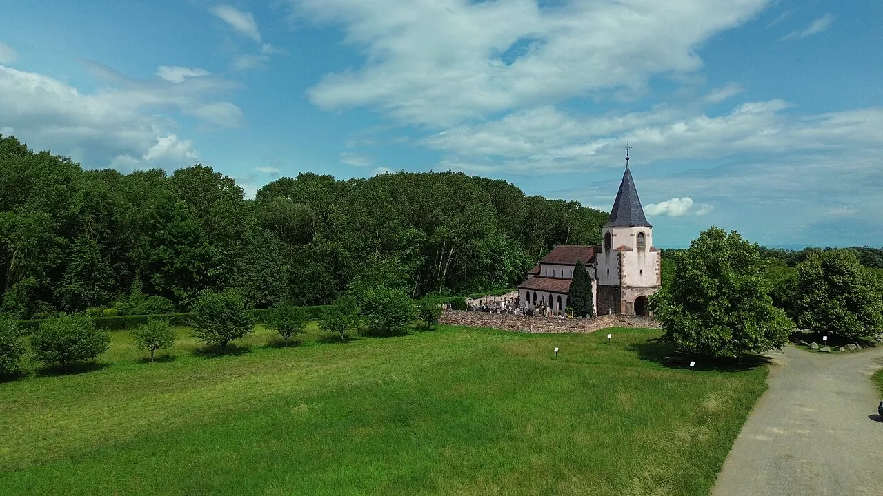 Dompeter