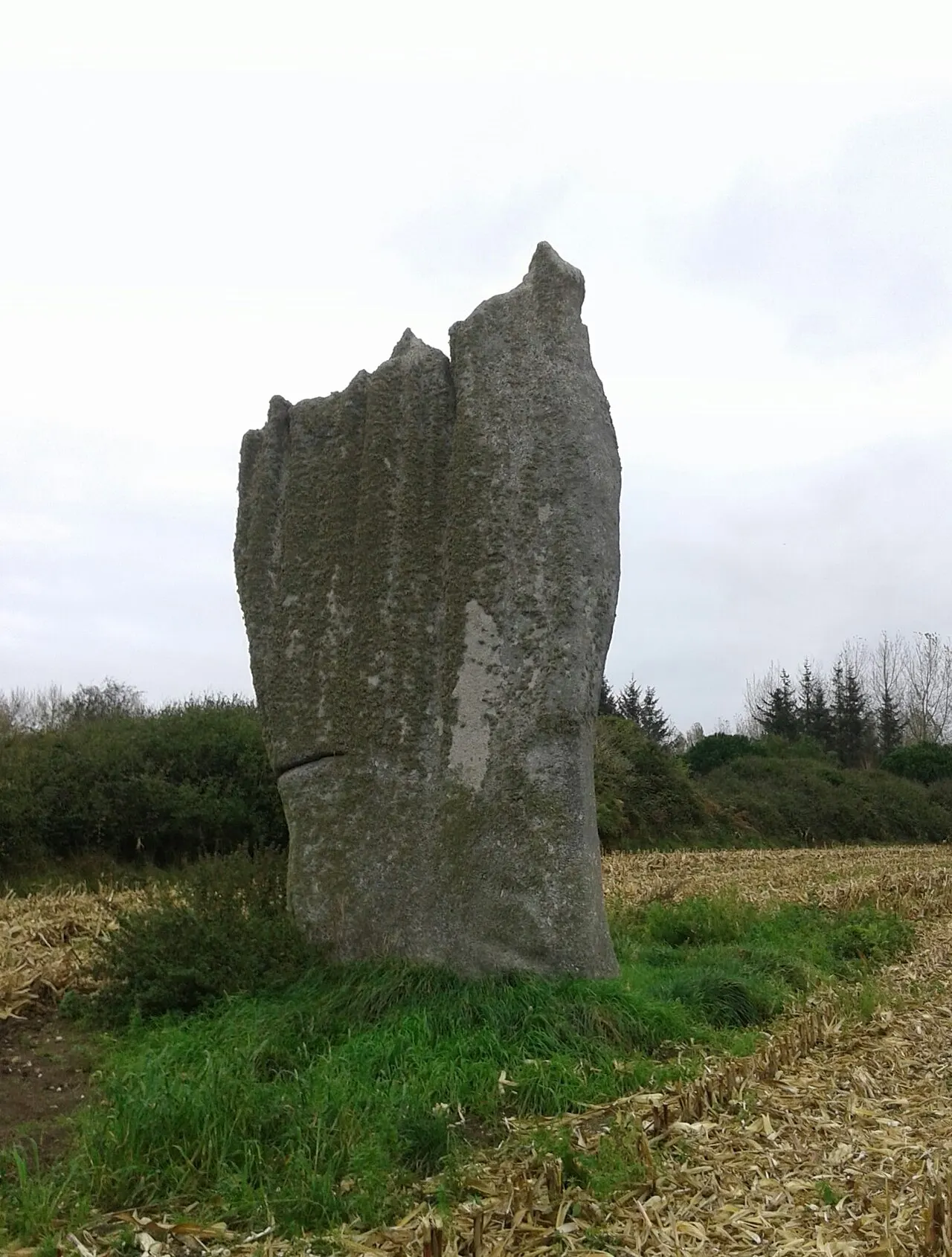 Menhir sud de Kerscaven