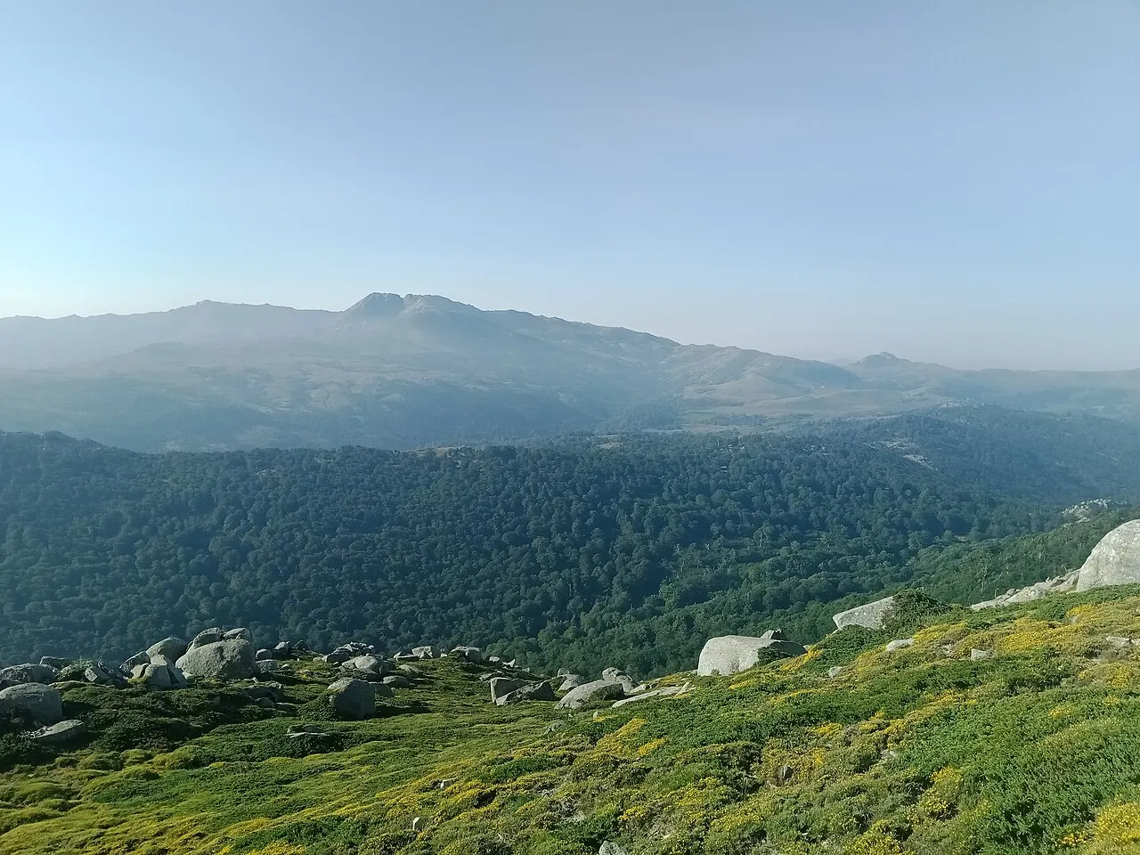 Monte Incudine