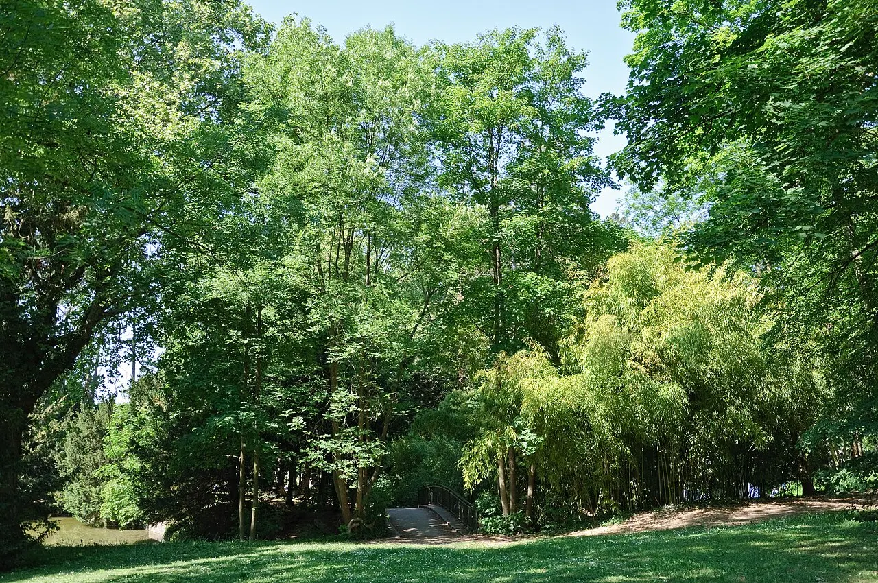 Parc de Bois-Préau