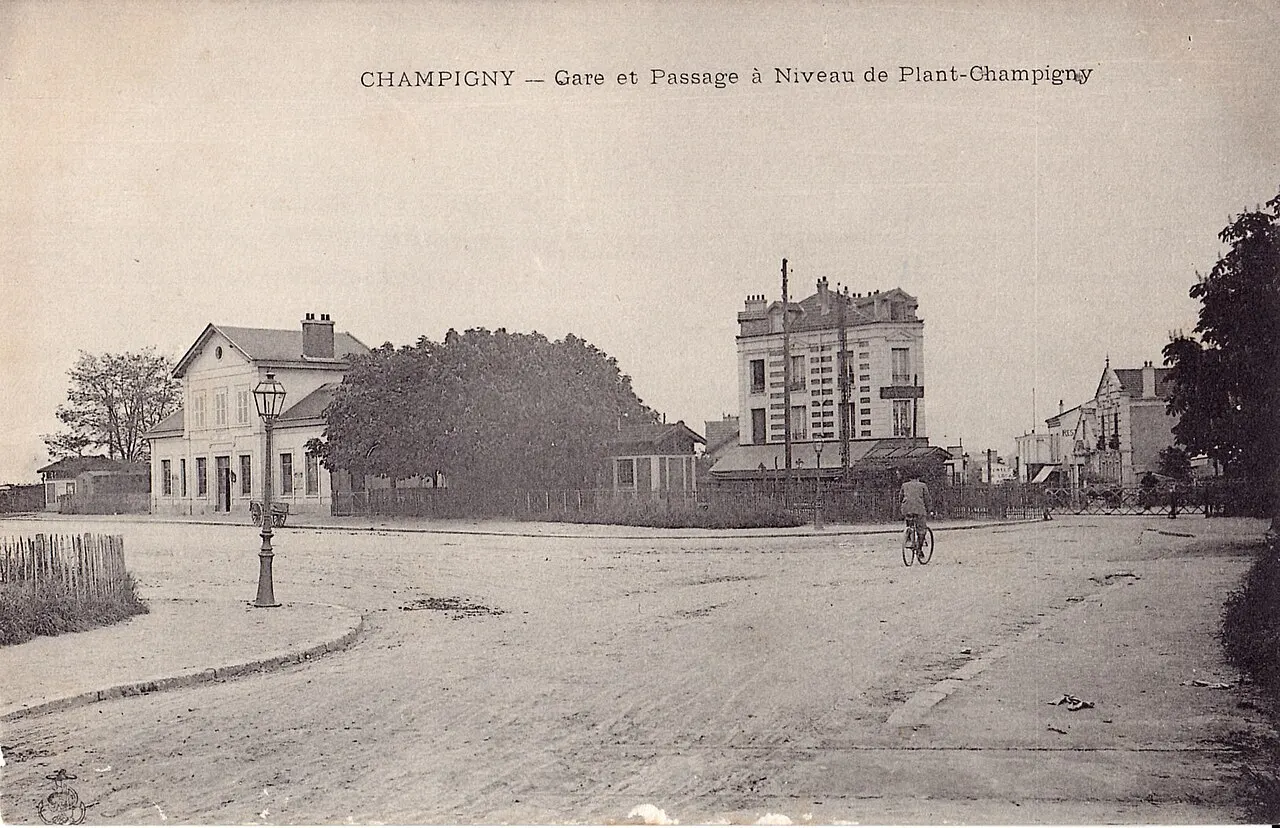 Le Plant Champigny