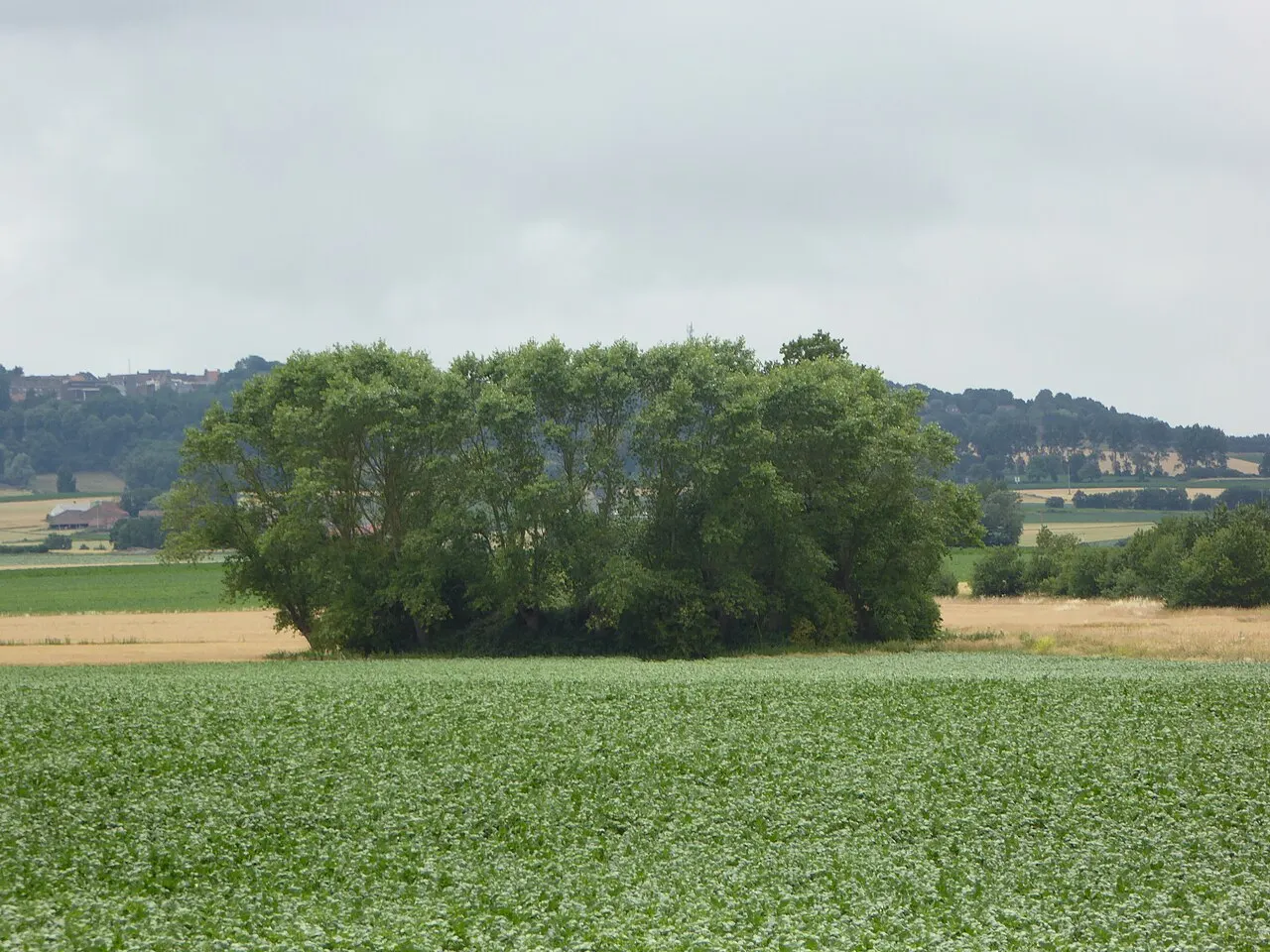 Motte féodale d’Oudezeele