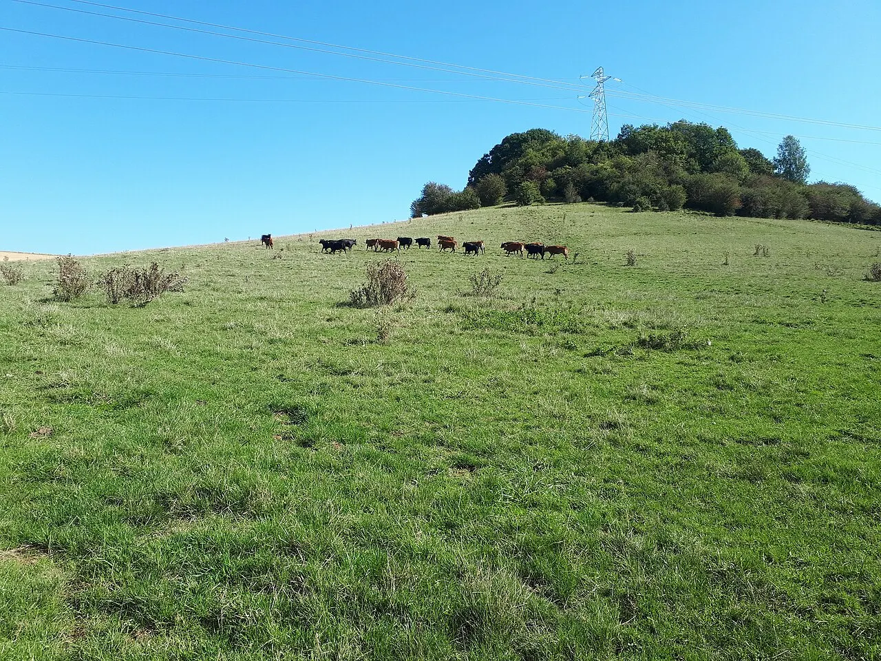 Motte castrale (ancienne)