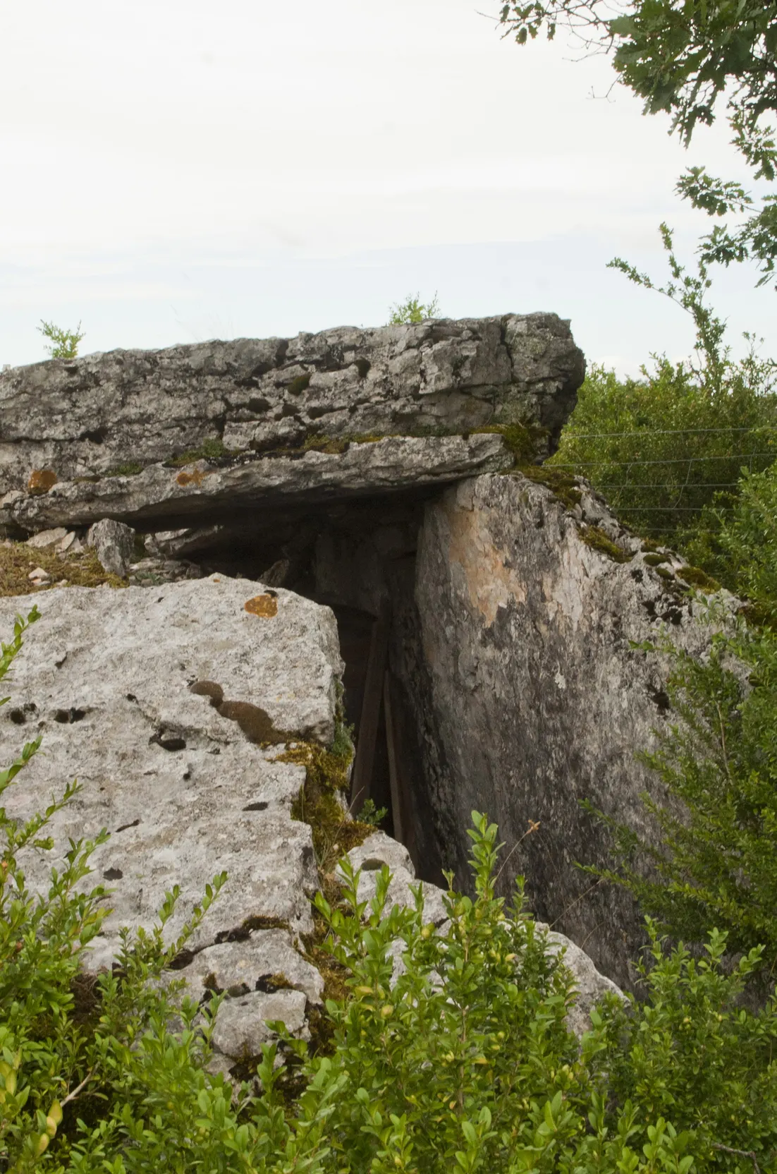 Dolmen du Mas de Pezet