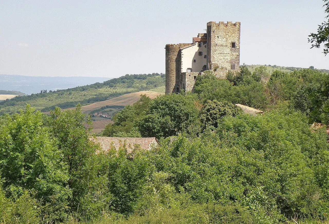 Ruines du château fort