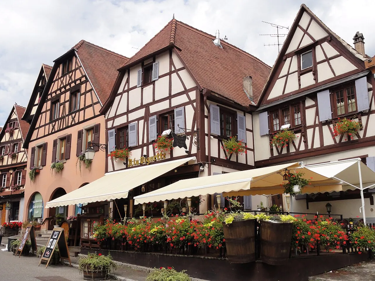 Maison