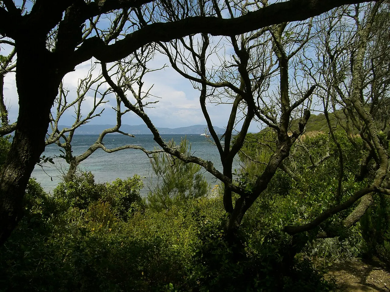 Parc national de Port-Cros (aire d’adhésion)