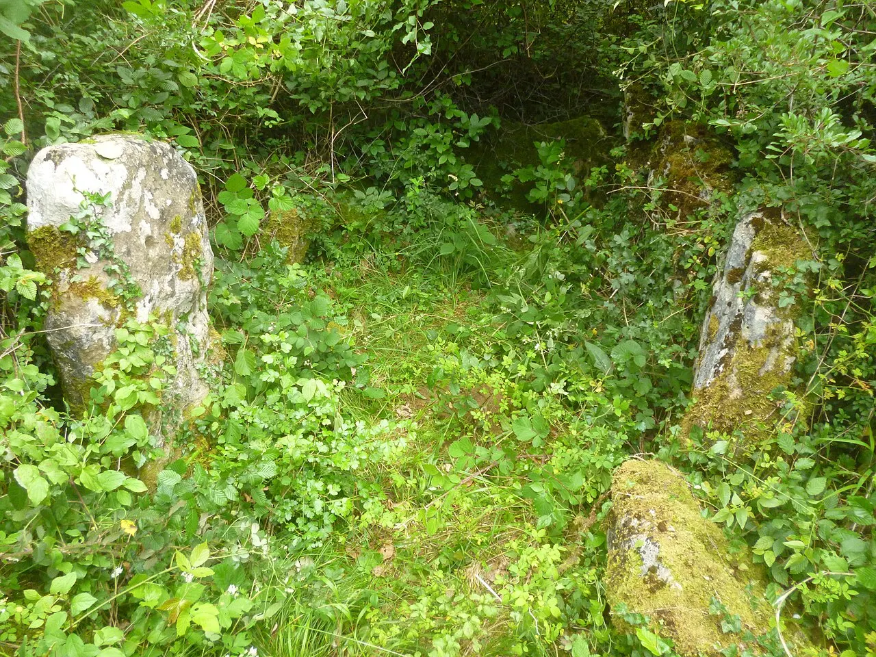 Dolmen de Bois l’Évêque