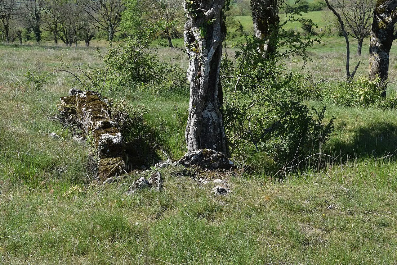 Site archéologique du dolmen 1 des Bourines