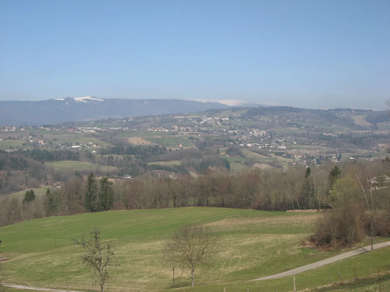 Groisy