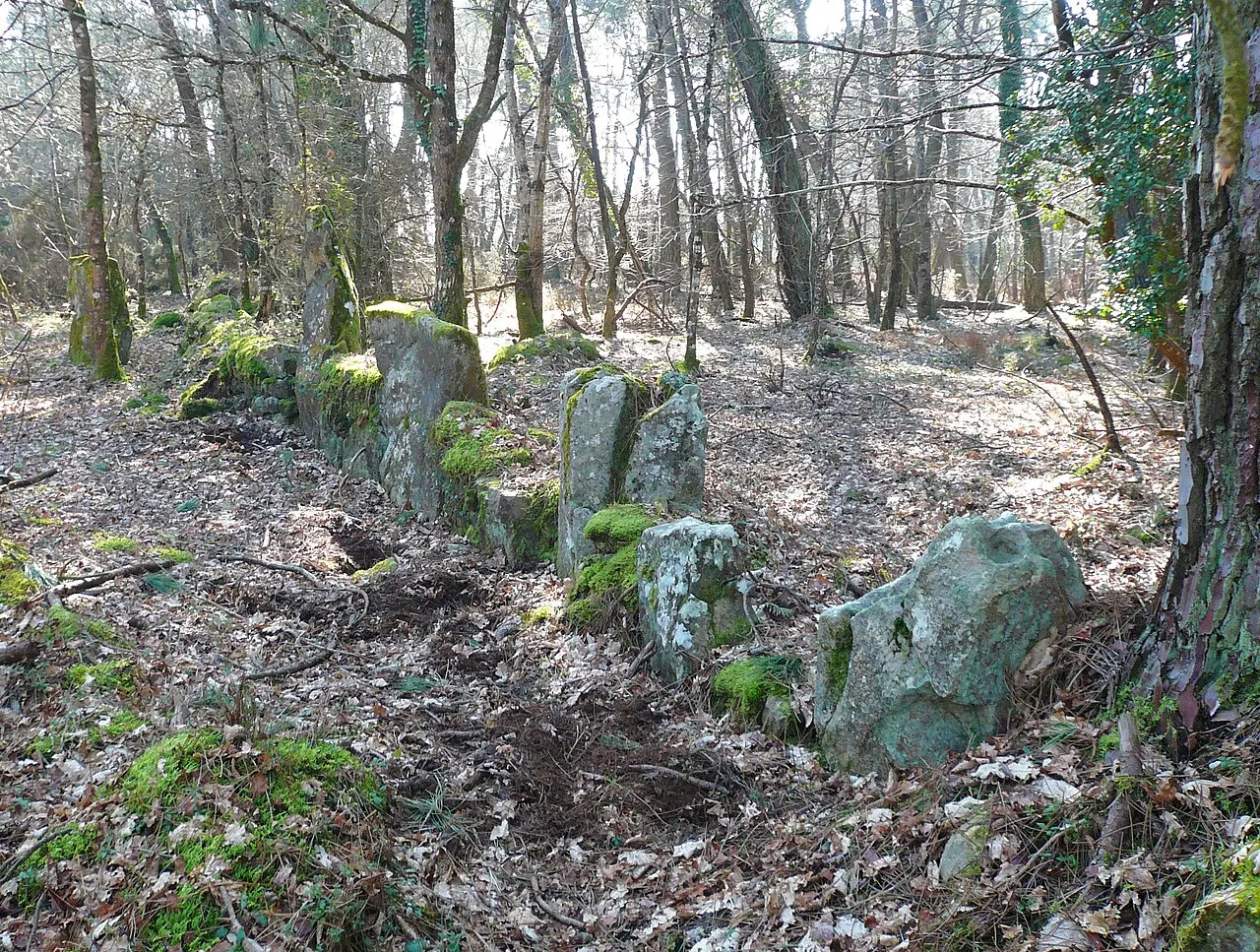 Restes de cromlech