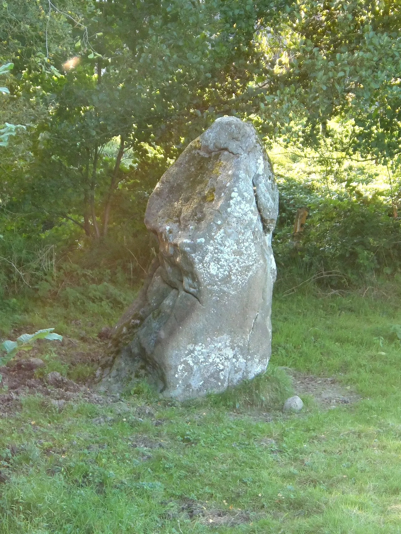 Menhir Pouille