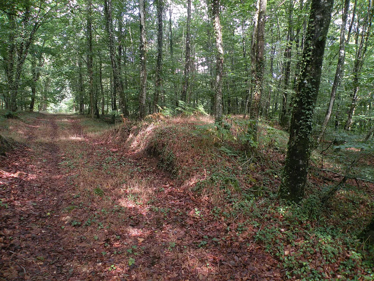 Oppidum du Poulailler