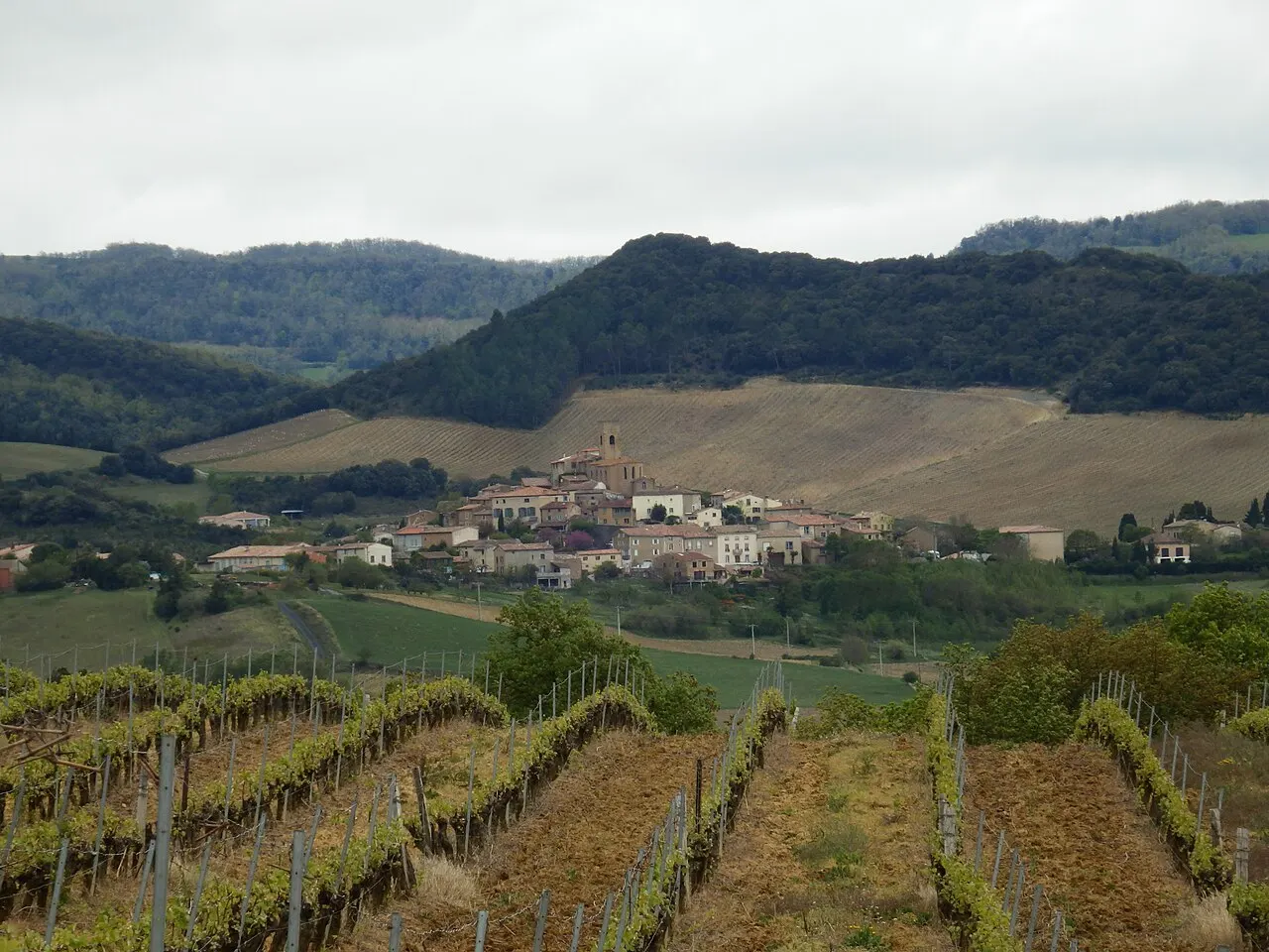 Villelongue-d'Aude